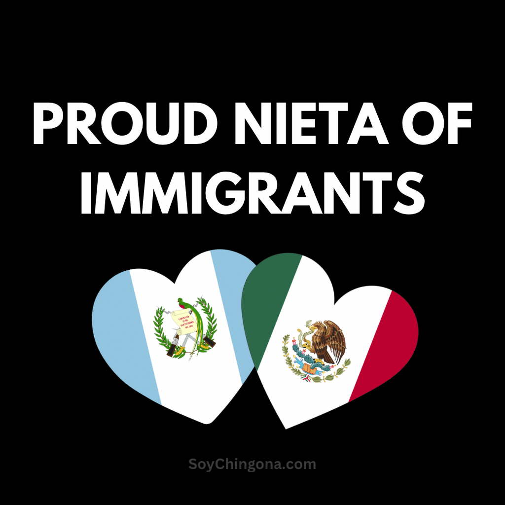 Sticker- Proud ______ of Immigrants