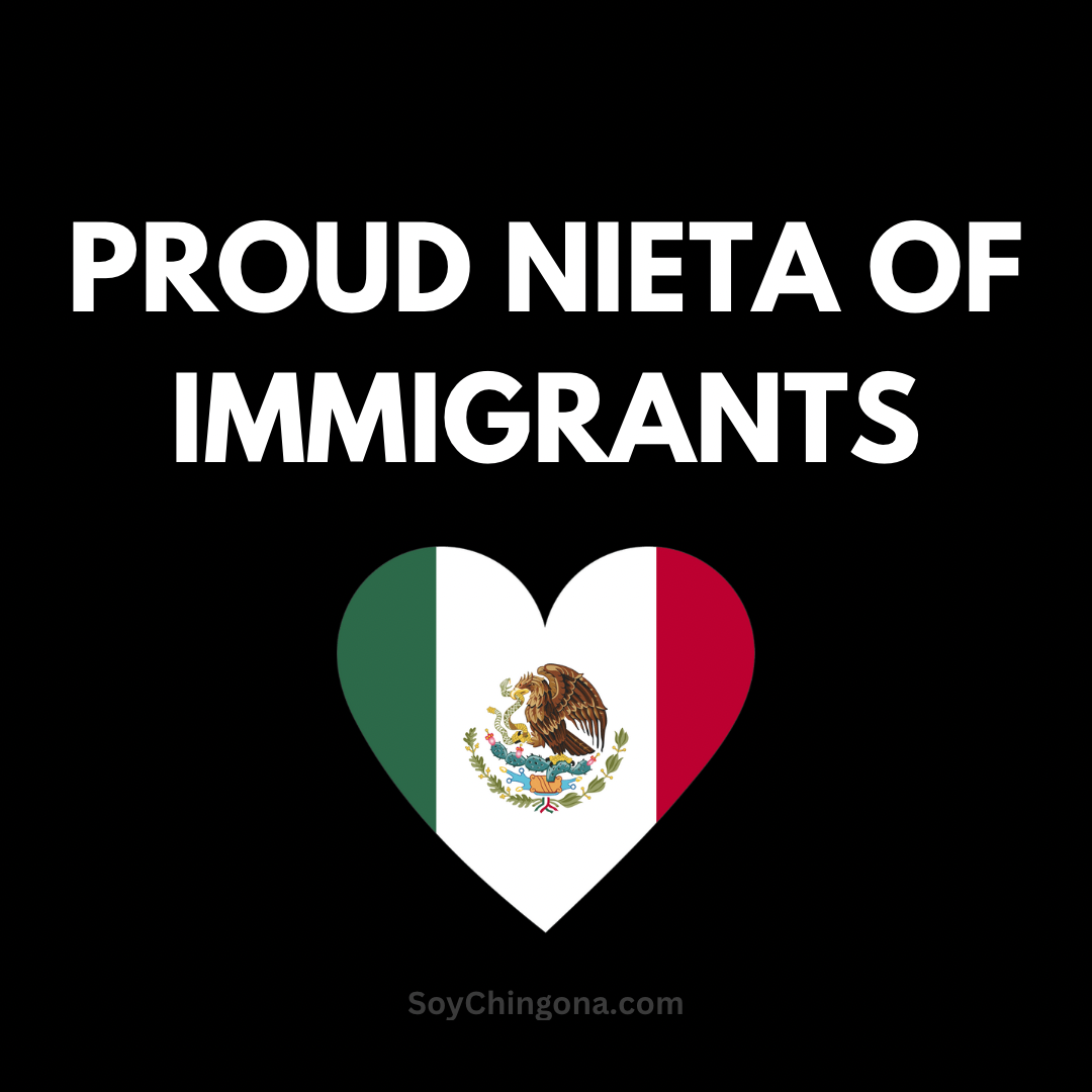Sticker- Proud ______ of Immigrants