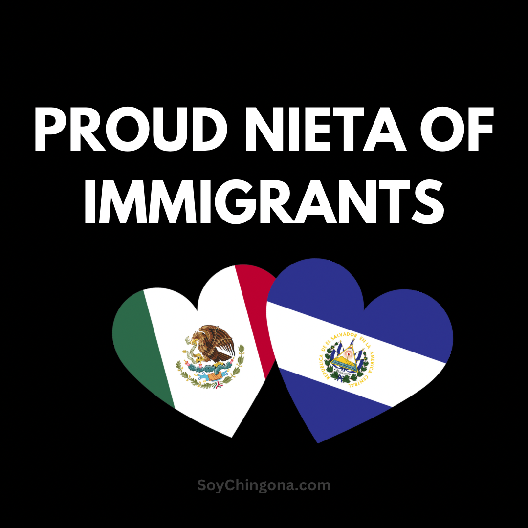 Sticker- Proud ______ of Immigrants