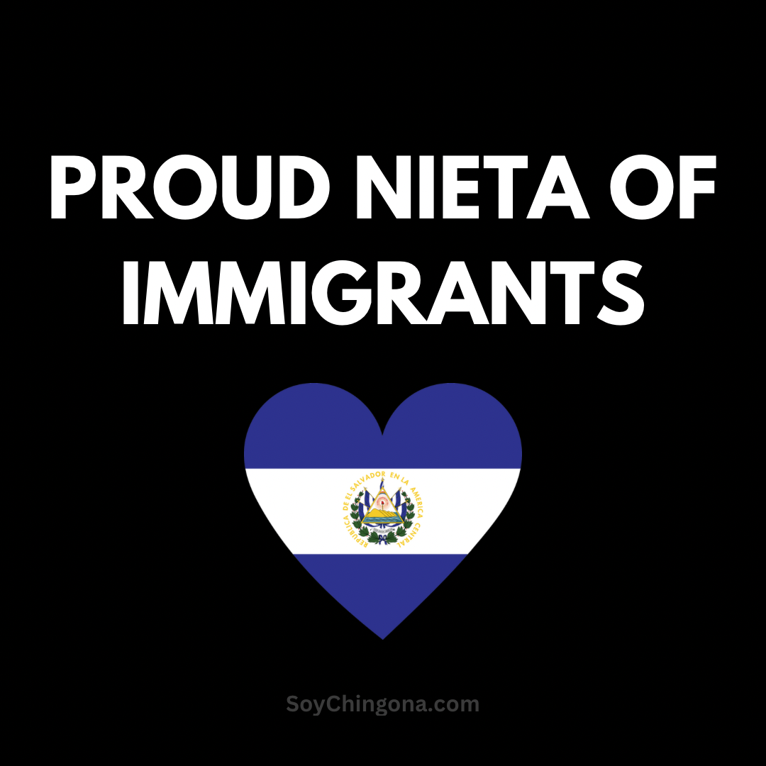 Sticker- Proud ______ of Immigrants
