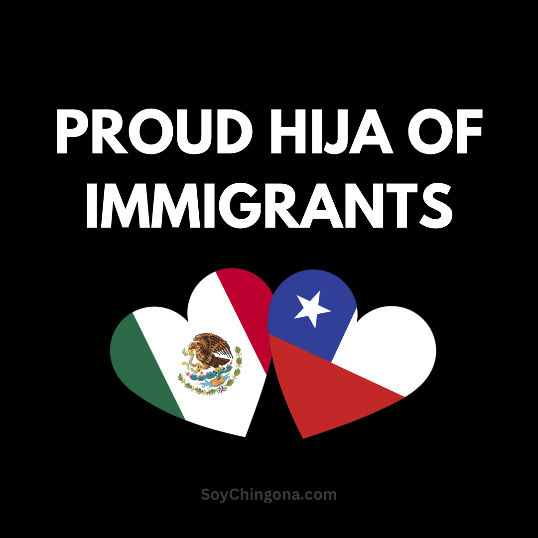Sticker- Proud ______ of Immigrants