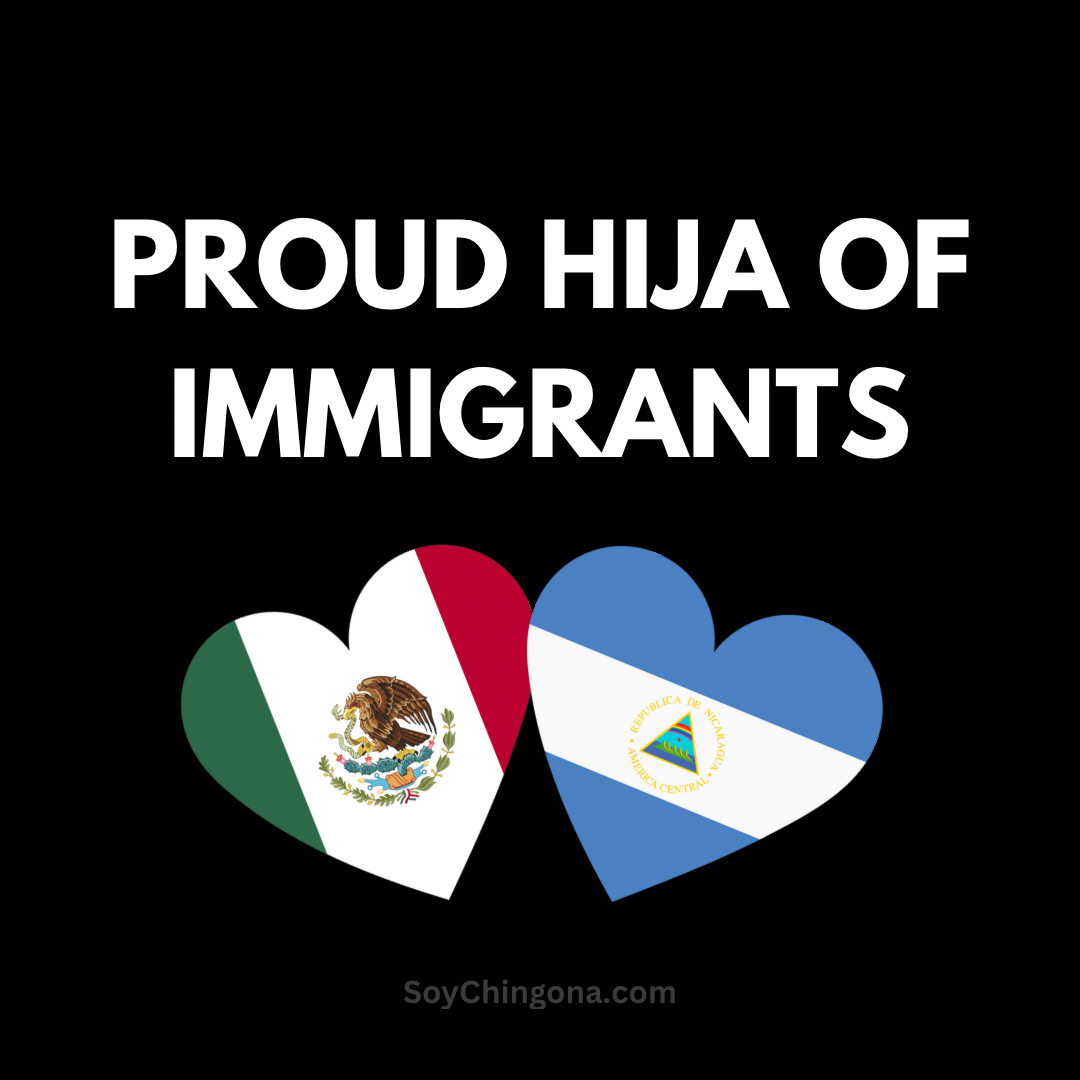 Sticker- Proud ______ of Immigrants