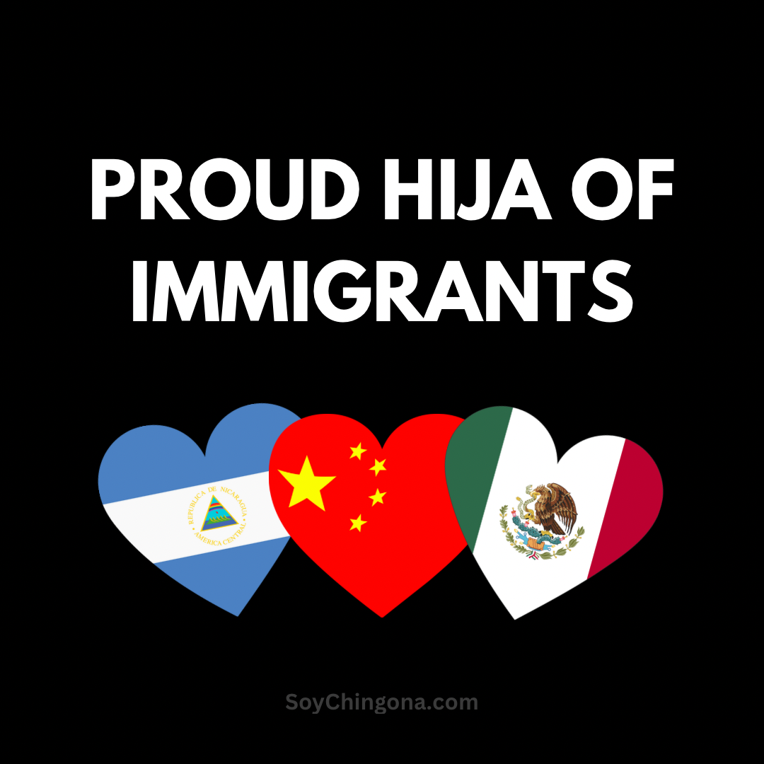 Sticker- Proud ______ of Immigrants