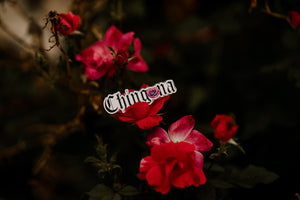 Chingona Rosa Sticker