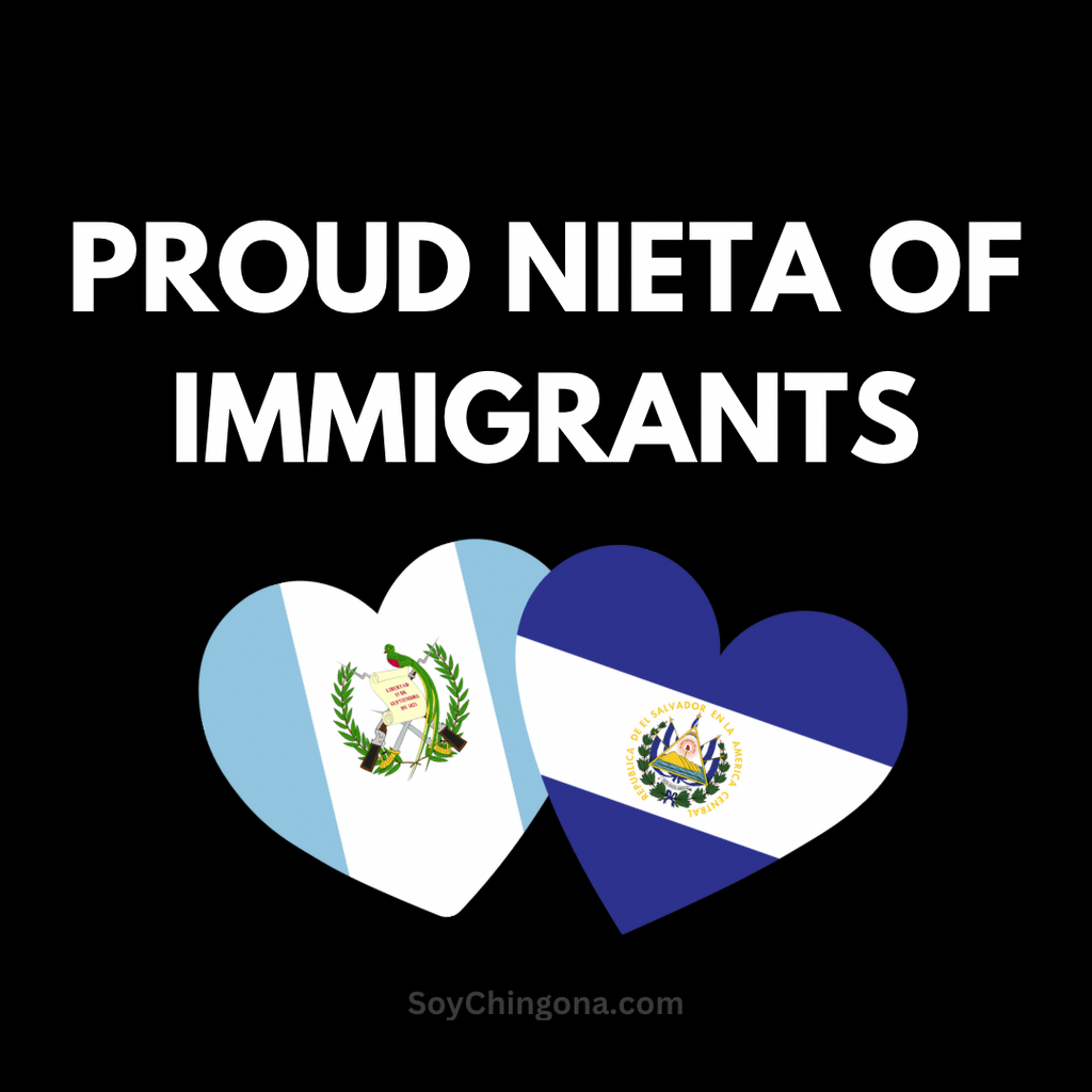 Sticker- Proud ______ of Immigrants