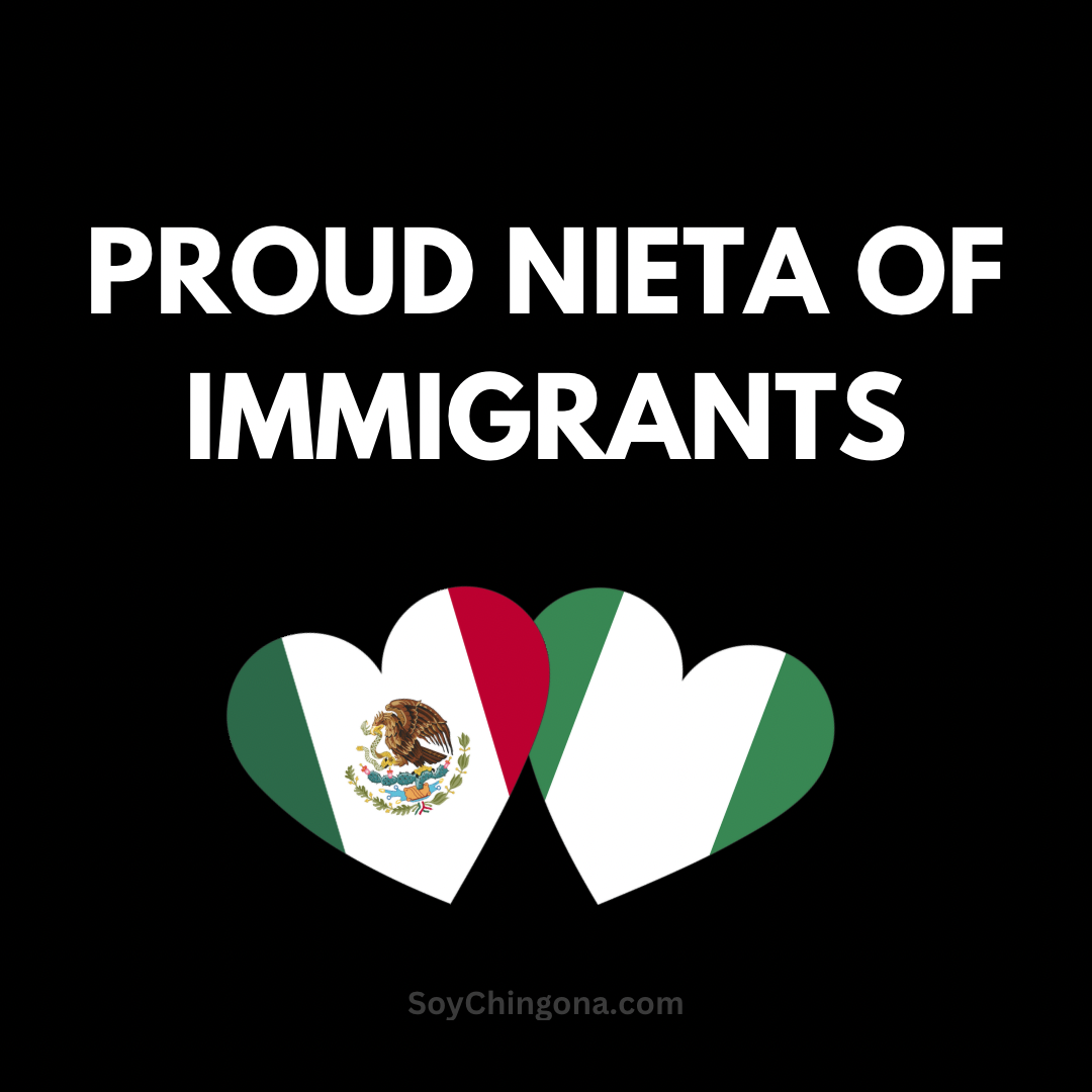 Sticker- Proud ______ of Immigrants