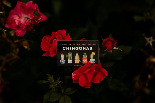 From a long line of Chingonas Sticker