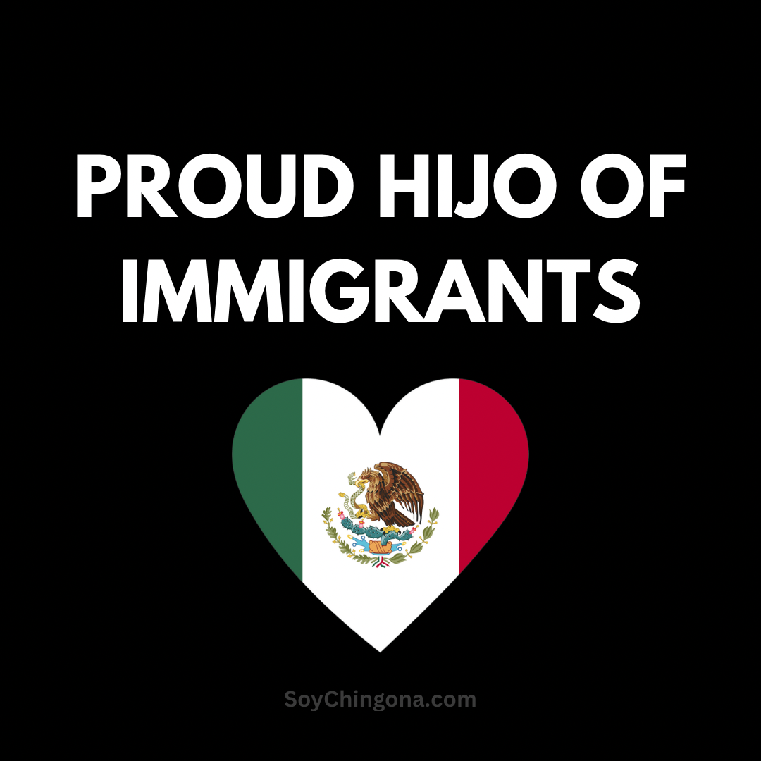 Sticker- Proud ______ of Immigrants