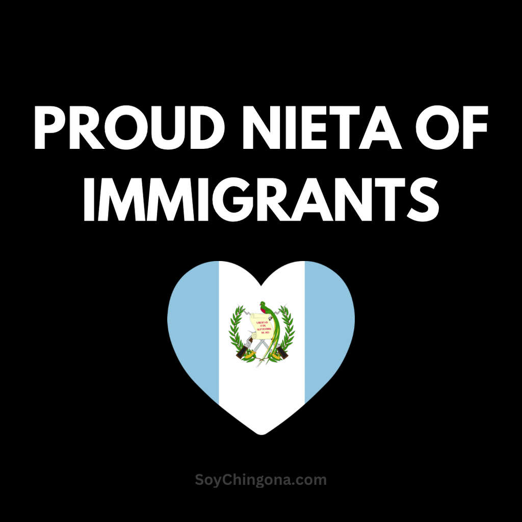 Sticker- Proud ______ of Immigrants