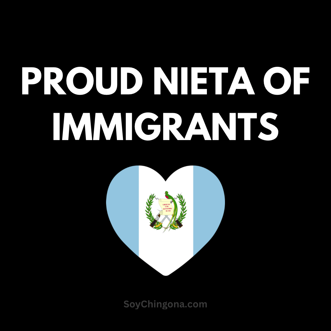 Sticker- Proud ______ of Immigrants