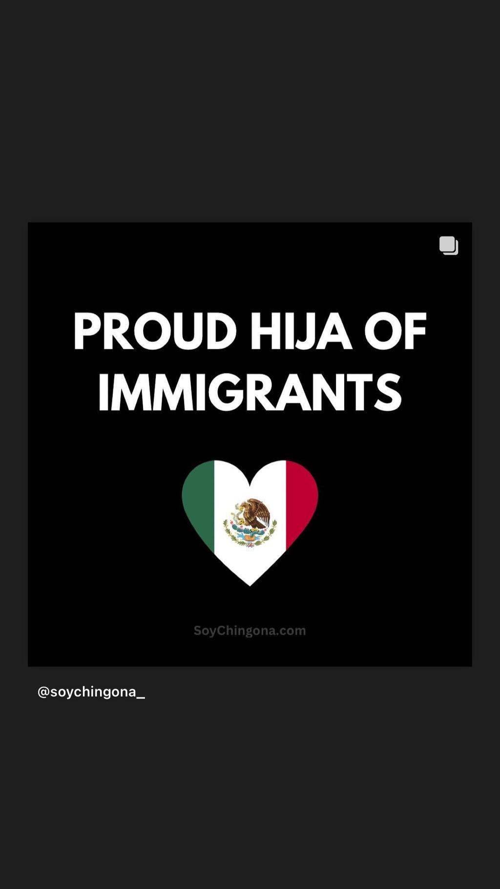 Sticker- Proud ______ of Immigrants