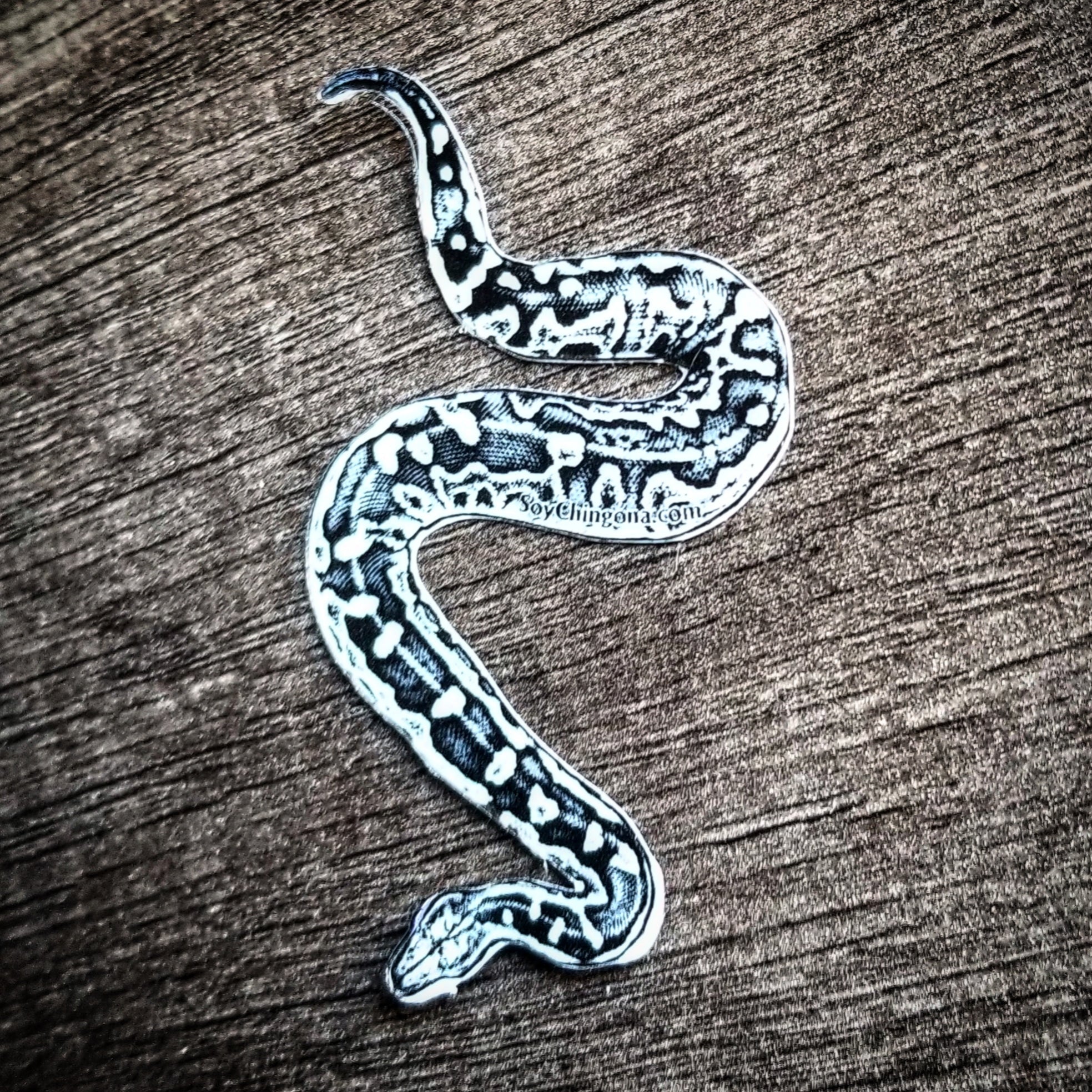 Holographic Snake Sticker