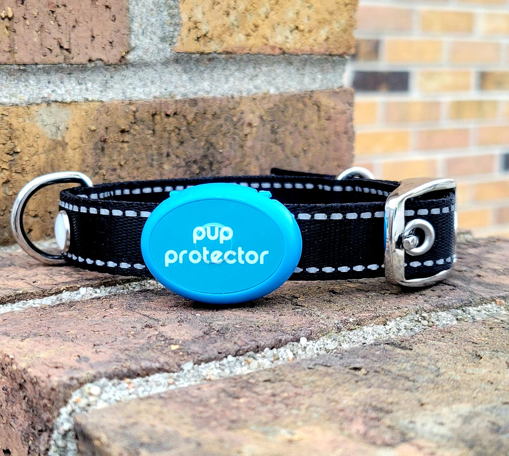 Pup Protector Dog LED Collar