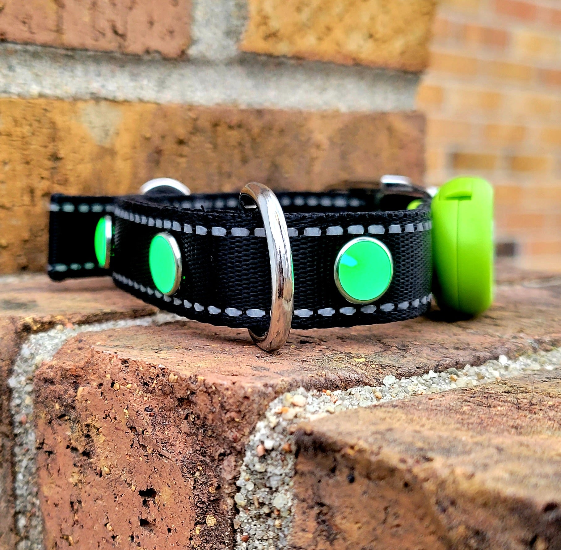 Pup Protector Dog LED Collar