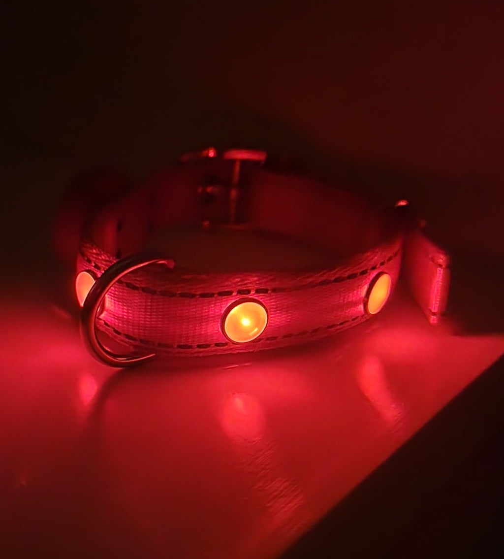 Pup Protector Dog LED Collar