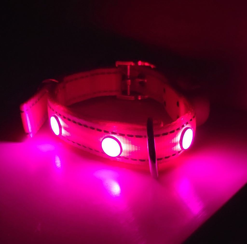 Pup Protector Dog LED Collar