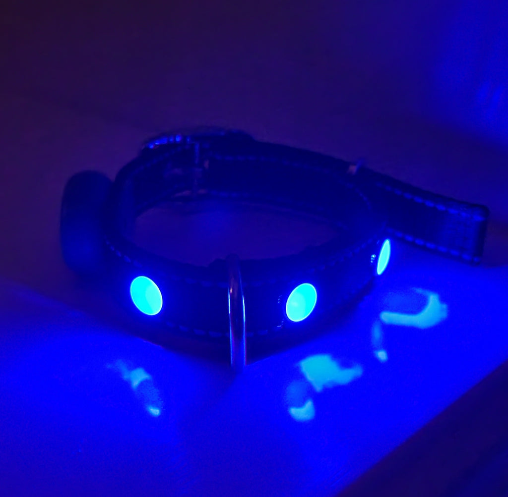 Pup Protector Dog LED Collar