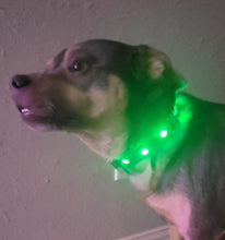 Load image into Gallery viewer, Pup Protector Dog LED Collar