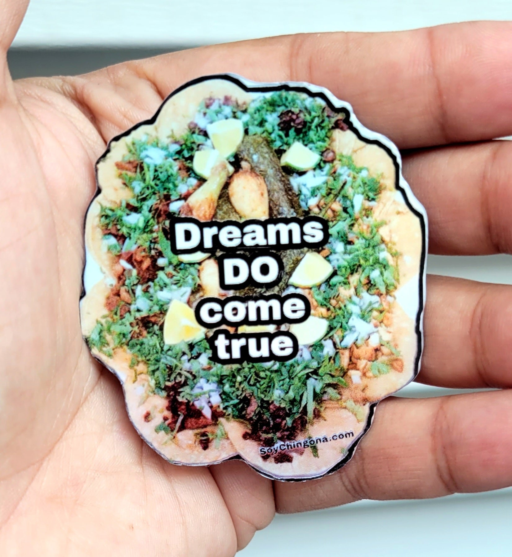 Dreams DO come true Sticker