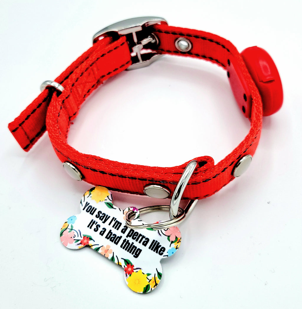 You say I'm a perra Tag with LED Collar