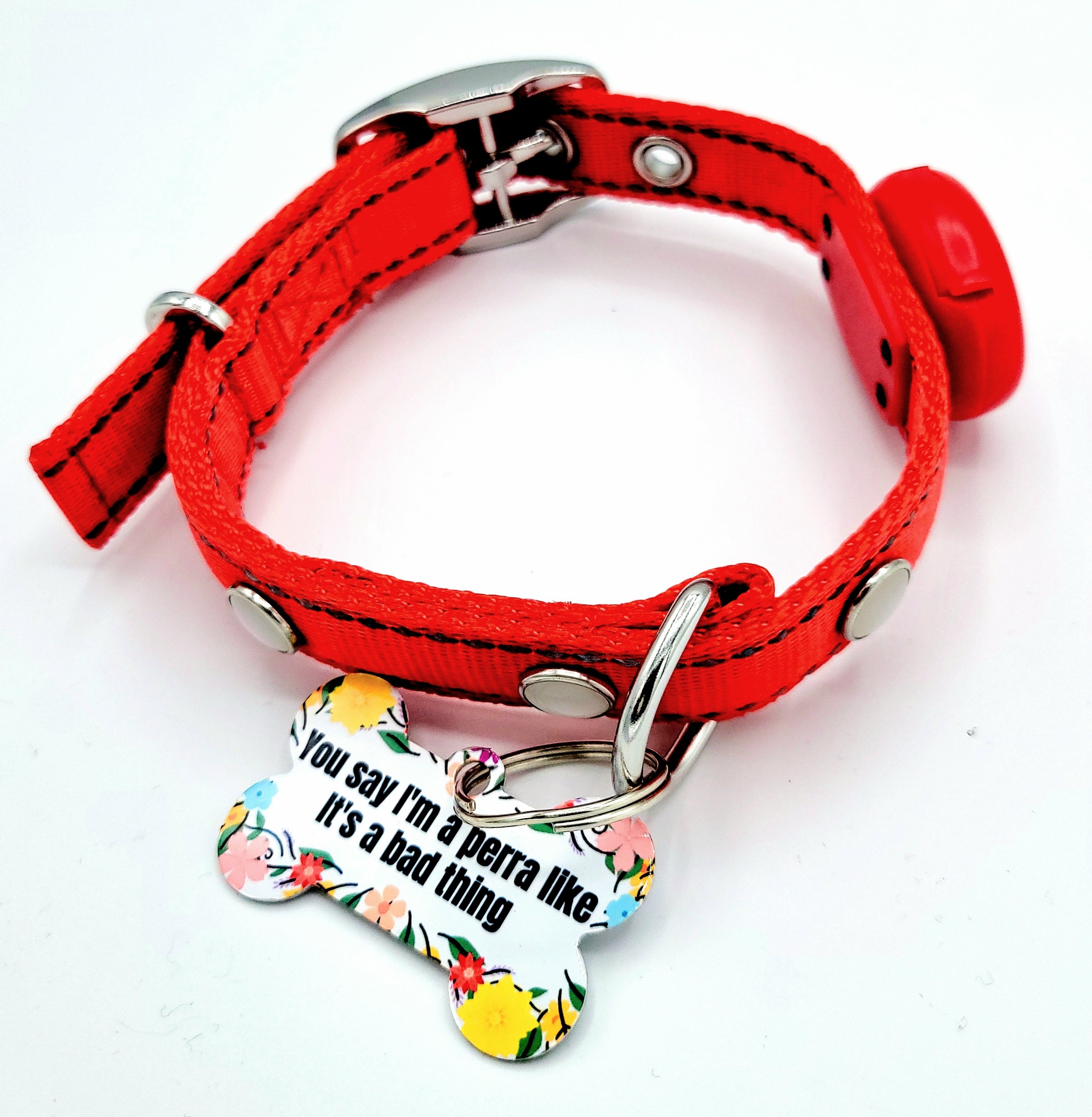 You say I'm a perra Tag with LED Collar