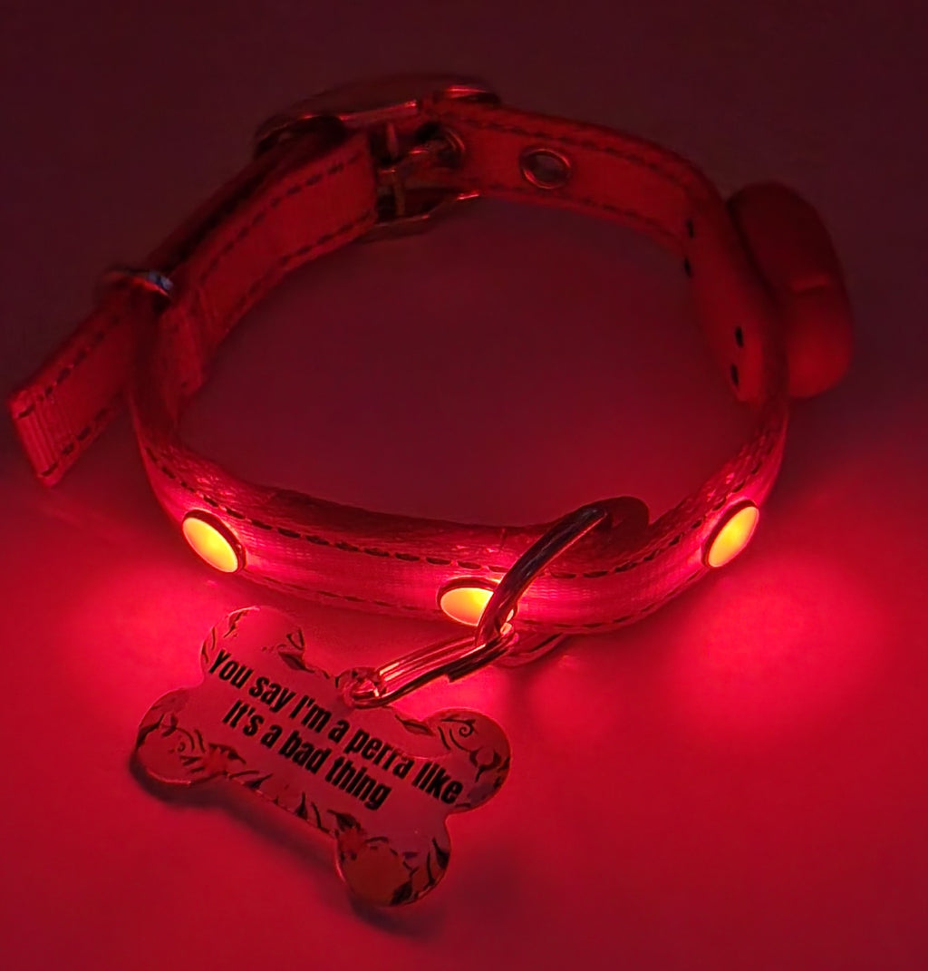 You say I'm a perra Tag with LED Collar