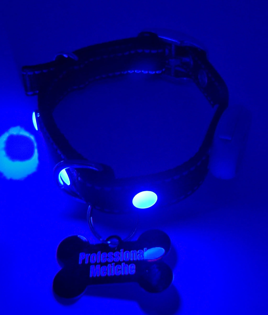 Professional Metiche Tag with LED Collar