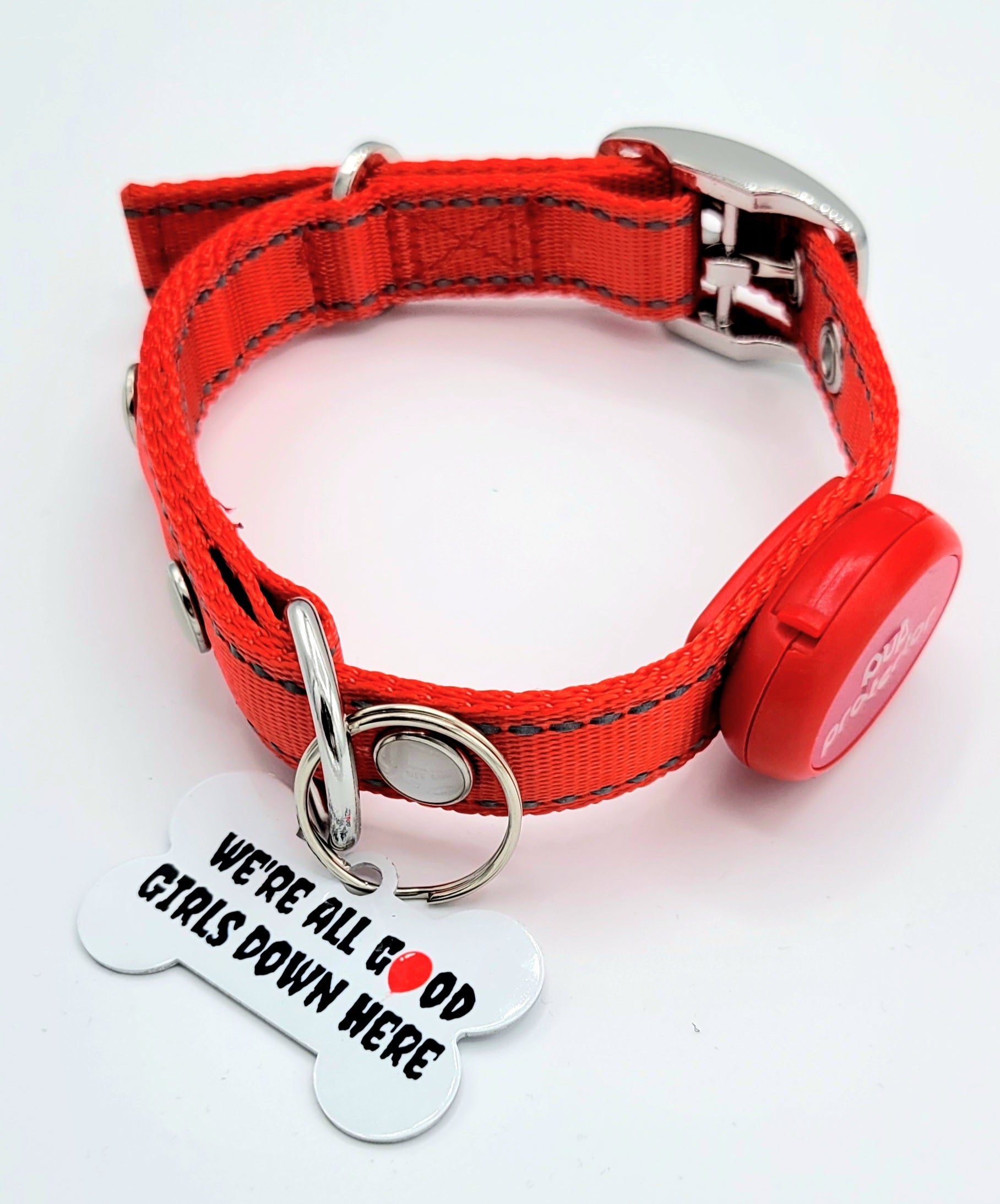 We're all good down here Tag with LED Collar