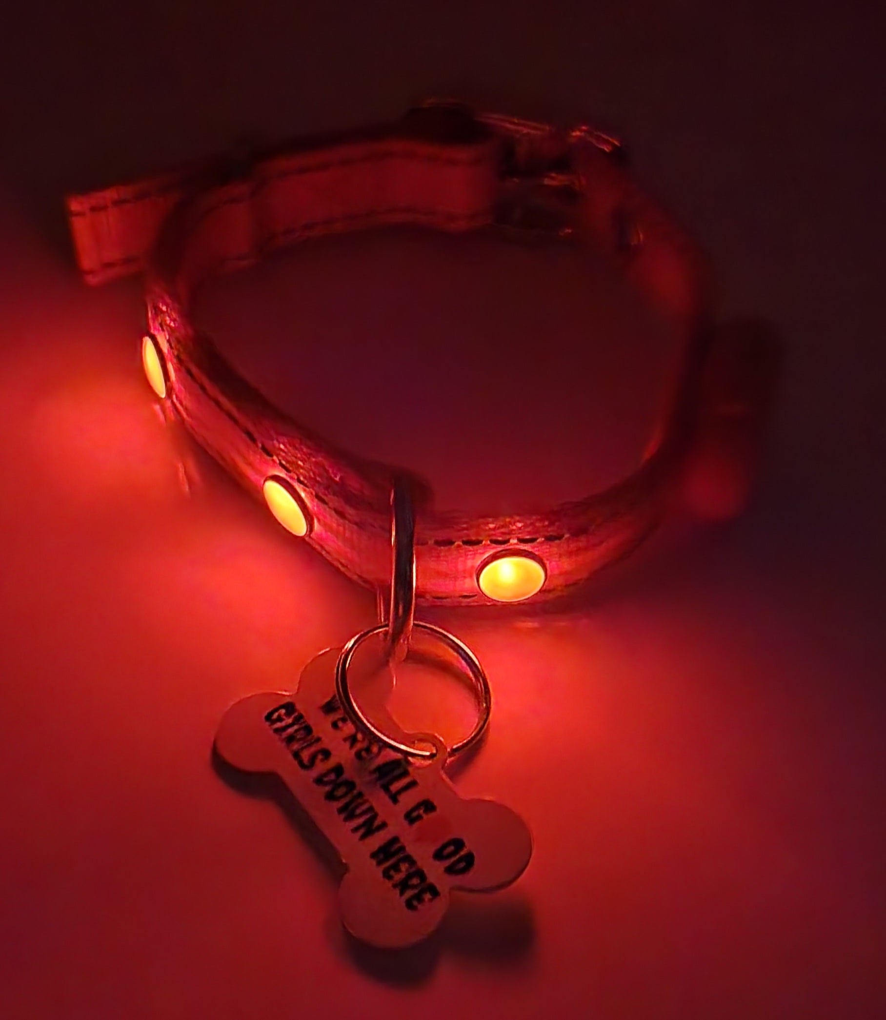 We're all good down here Tag with LED Collar