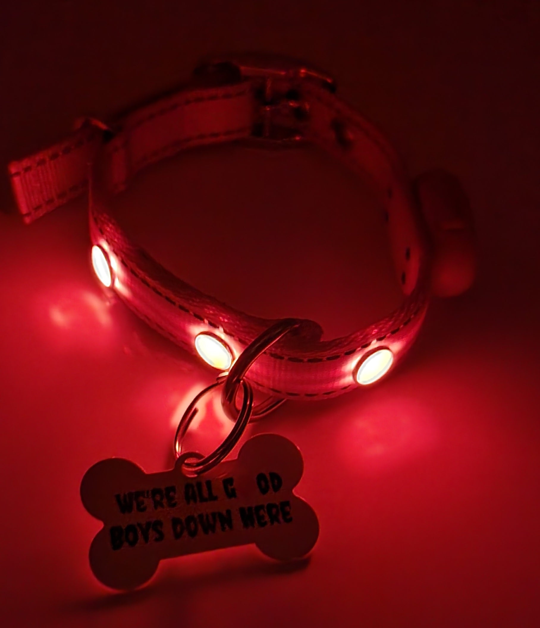 We're all good down here Tag with LED Collar