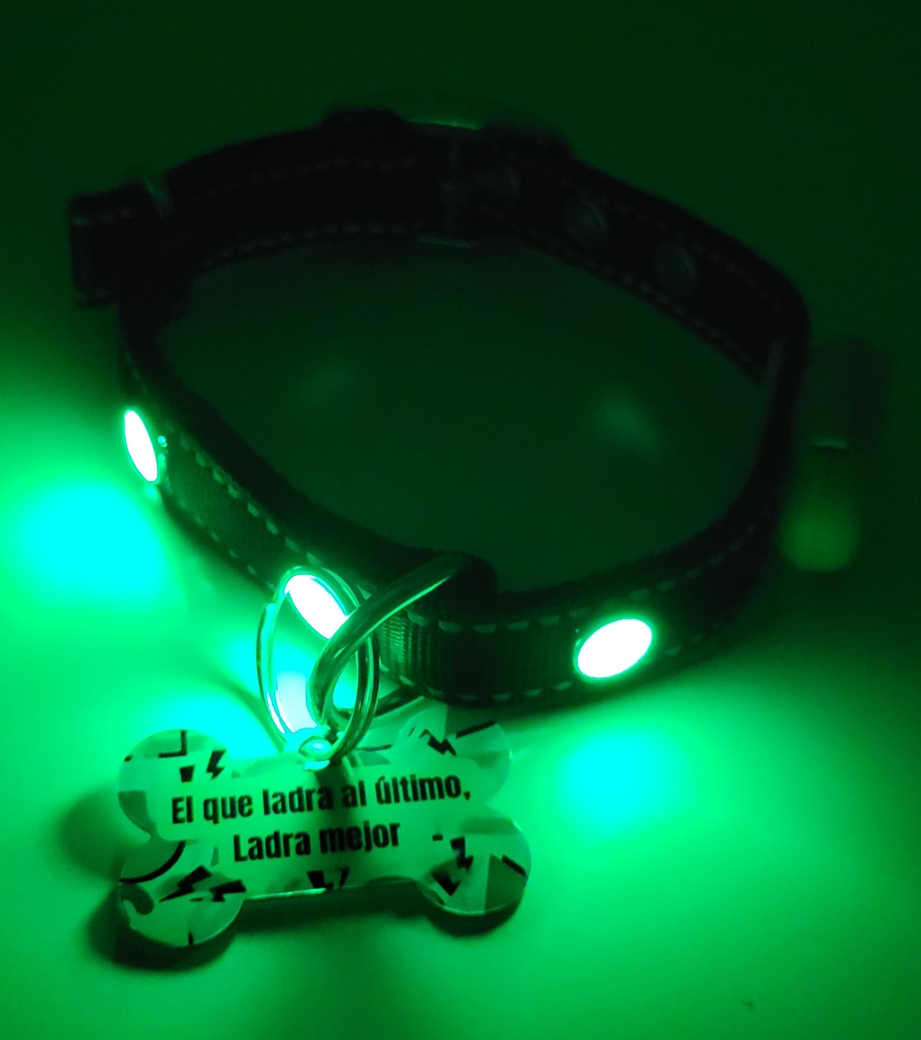 El que ladra al último Tag with LED Collar