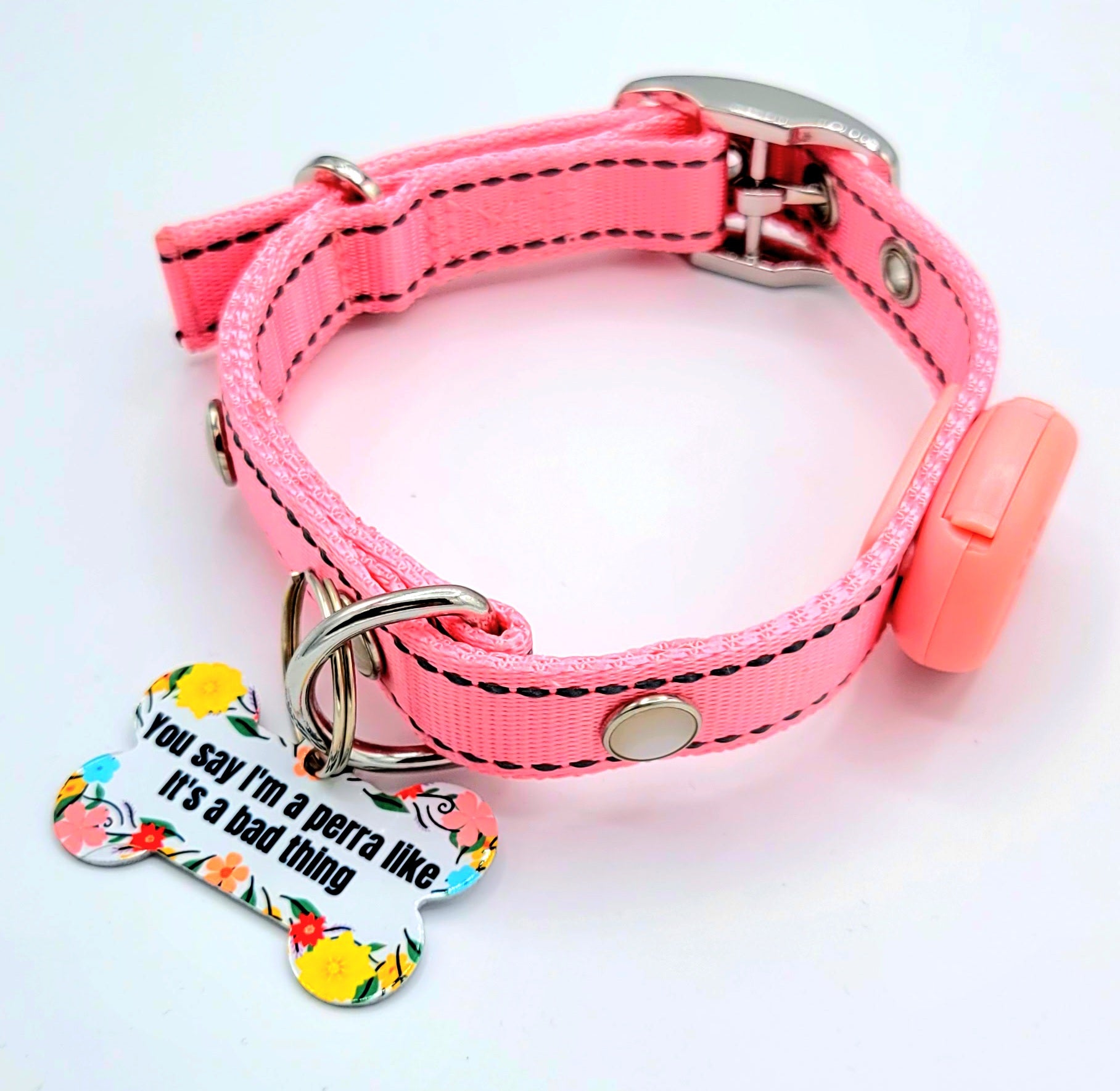 You say I'm a perra Tag with LED Collar