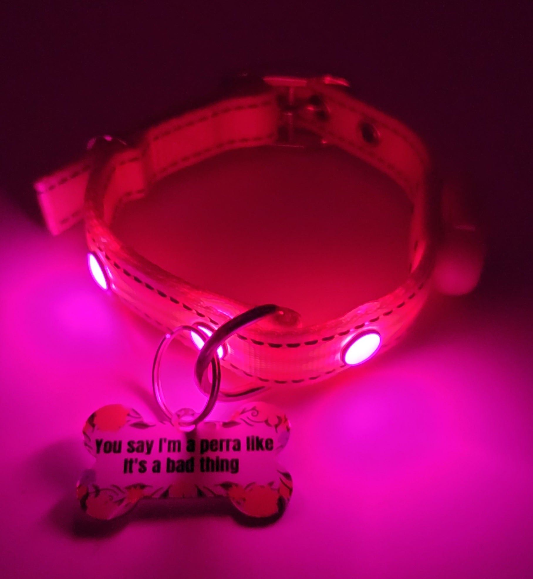 You say I'm a perra Tag with LED Collar
