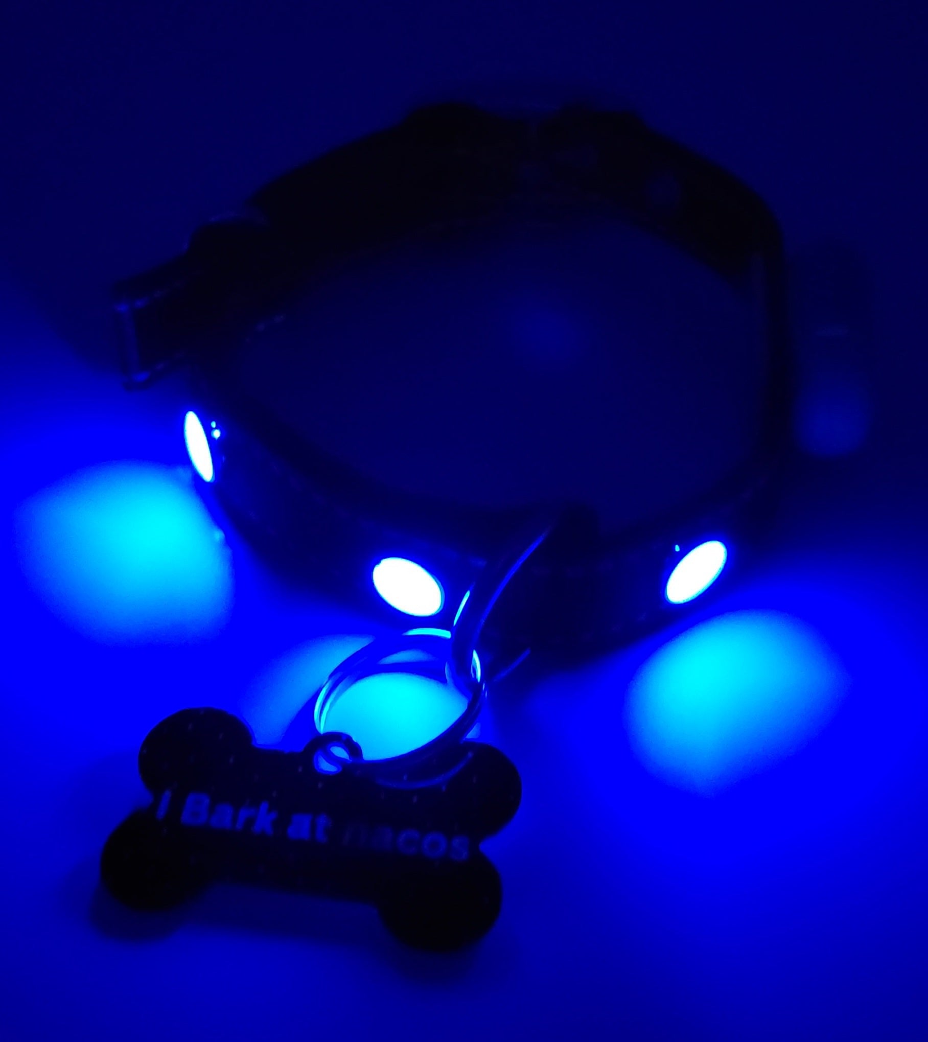 I bark at Nacos Tag with LED Collar