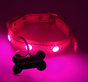 Barks in spanish Tag with LED Collar