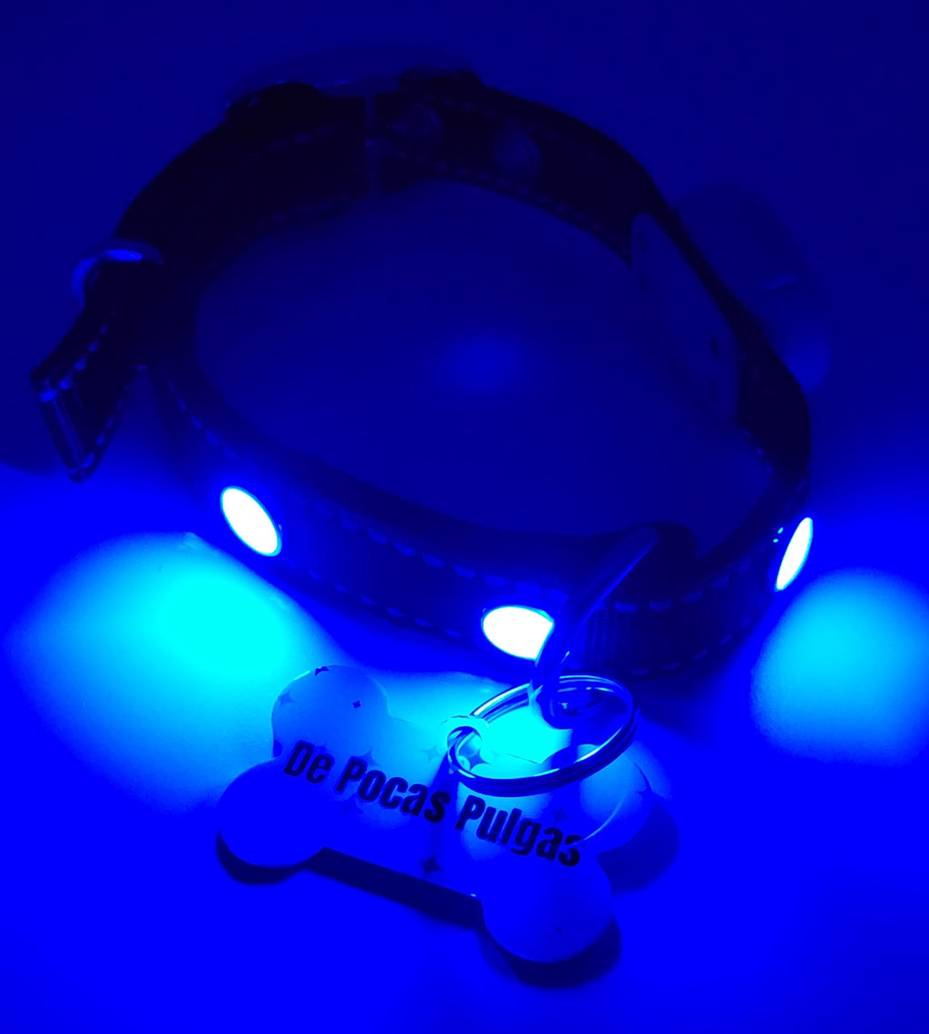 De Pocas Pulgas Tag with LED Collar