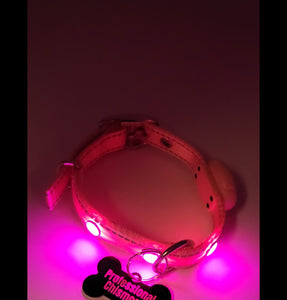 Professional Chismosa Tag with LED Collar